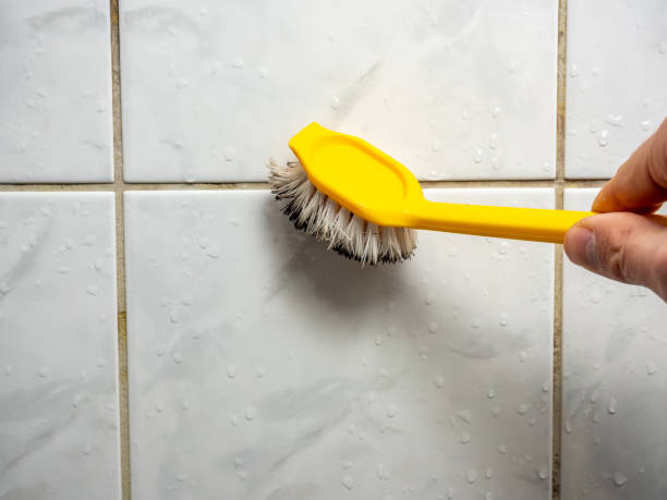 Best Mold Removal Company Near Me  in Sparta, NC
