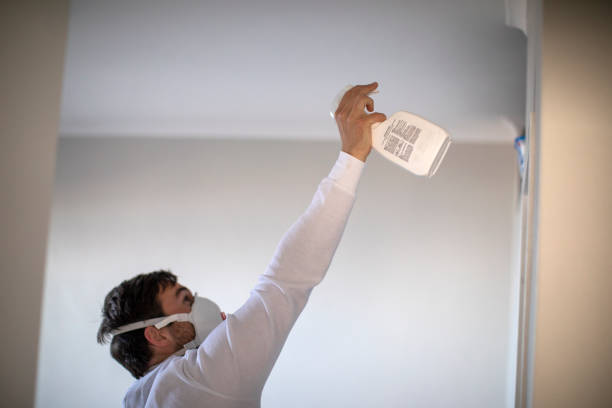 Best Water Damage Restoration  in Sparta, NC