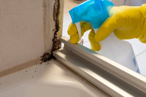 Best Mold Testing  in Sparta, NC