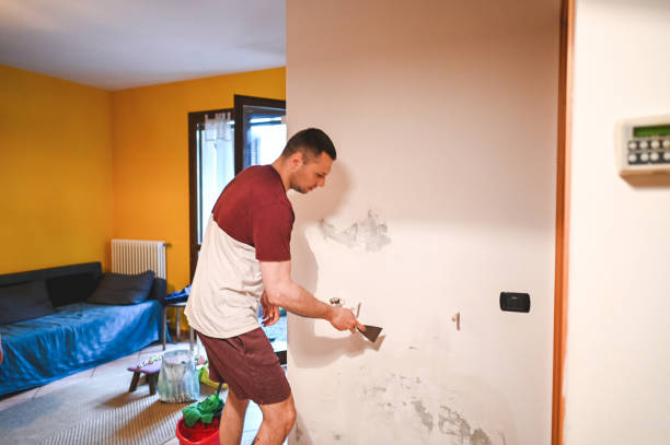 Best Mold Cleaning Services  in Sparta, NC